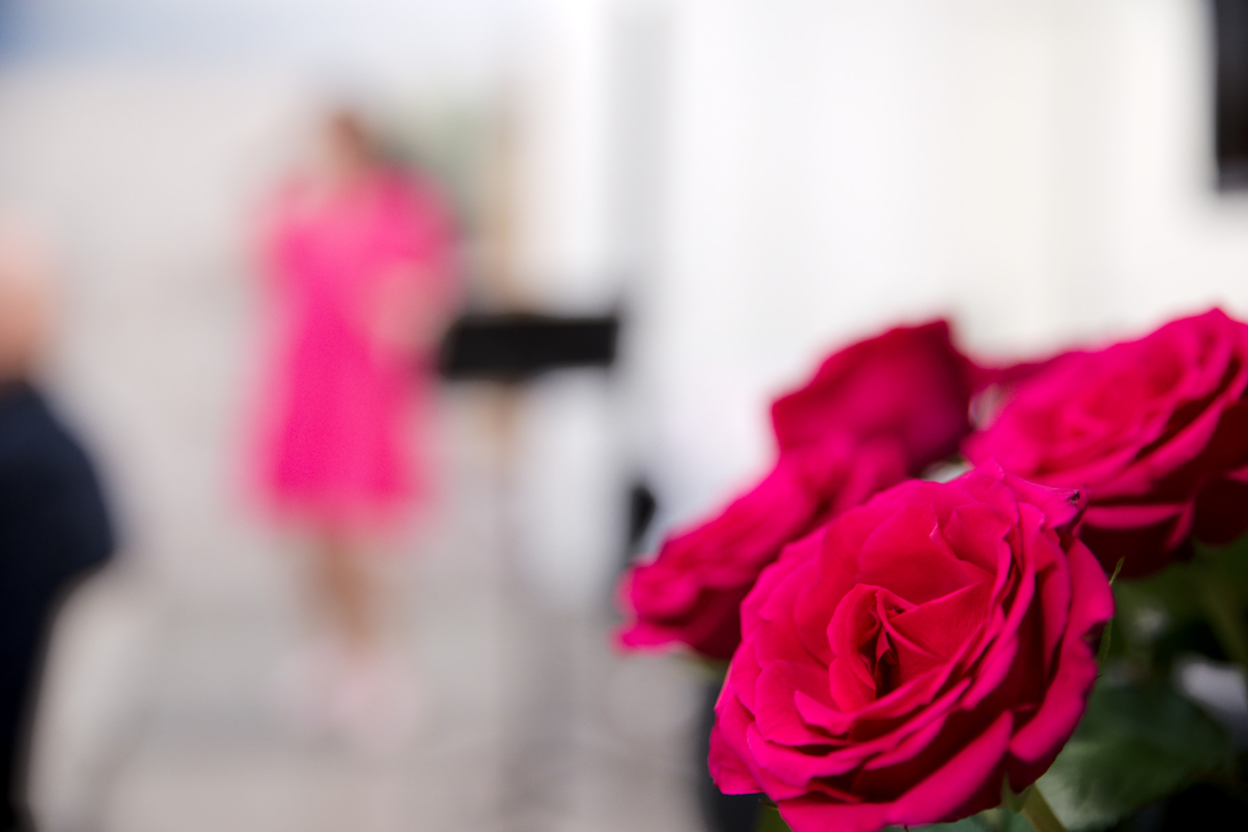 Räiskyvän punaiset ruusut joiden taustalla yhtä räiskyvän punaisen laulajan silhuetti.
